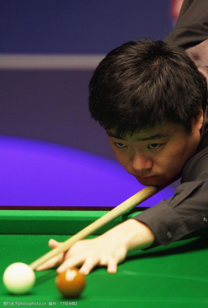 华丽的数据 华丽的数据